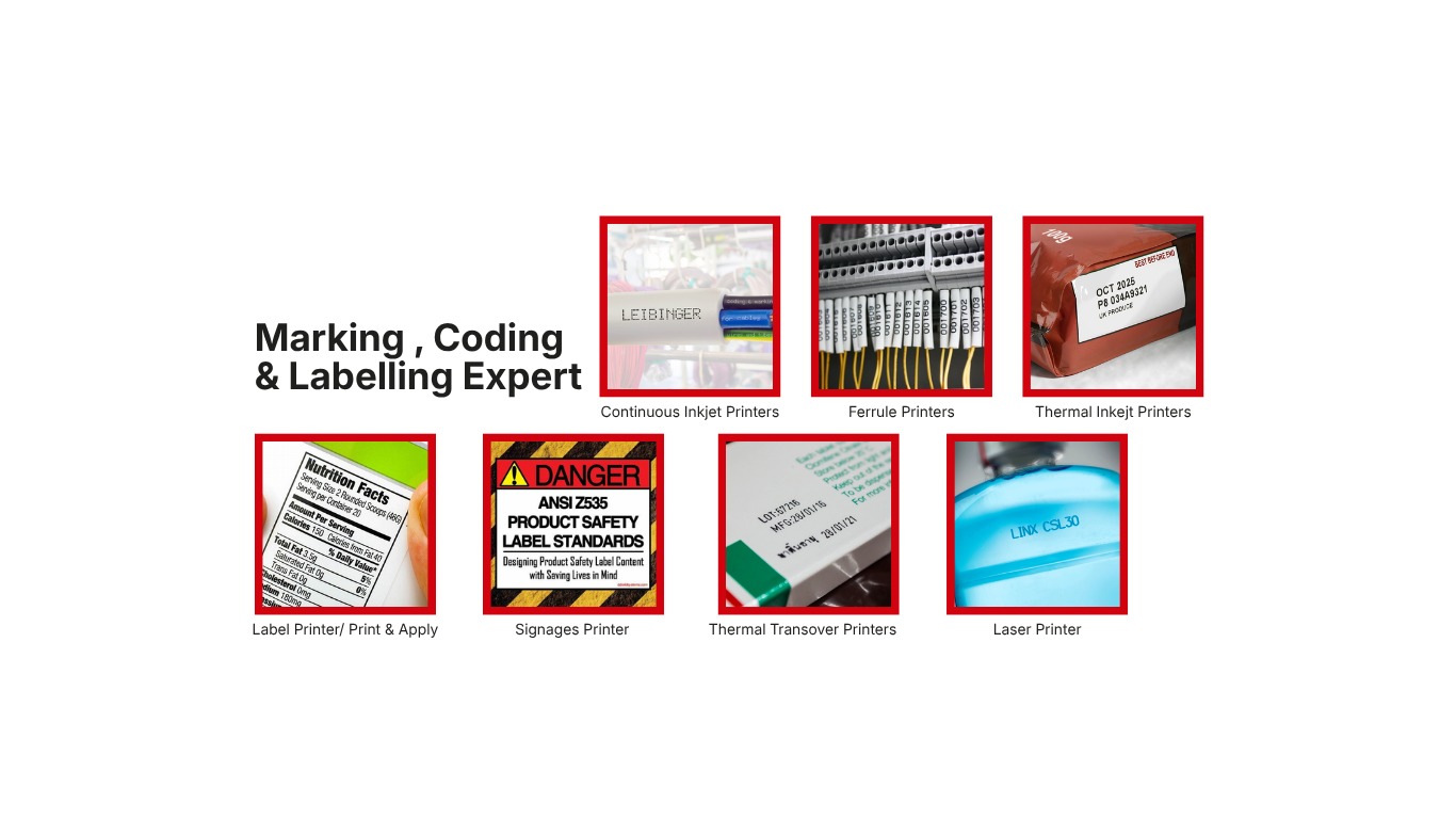 Marking Coding and Labelling Experts
