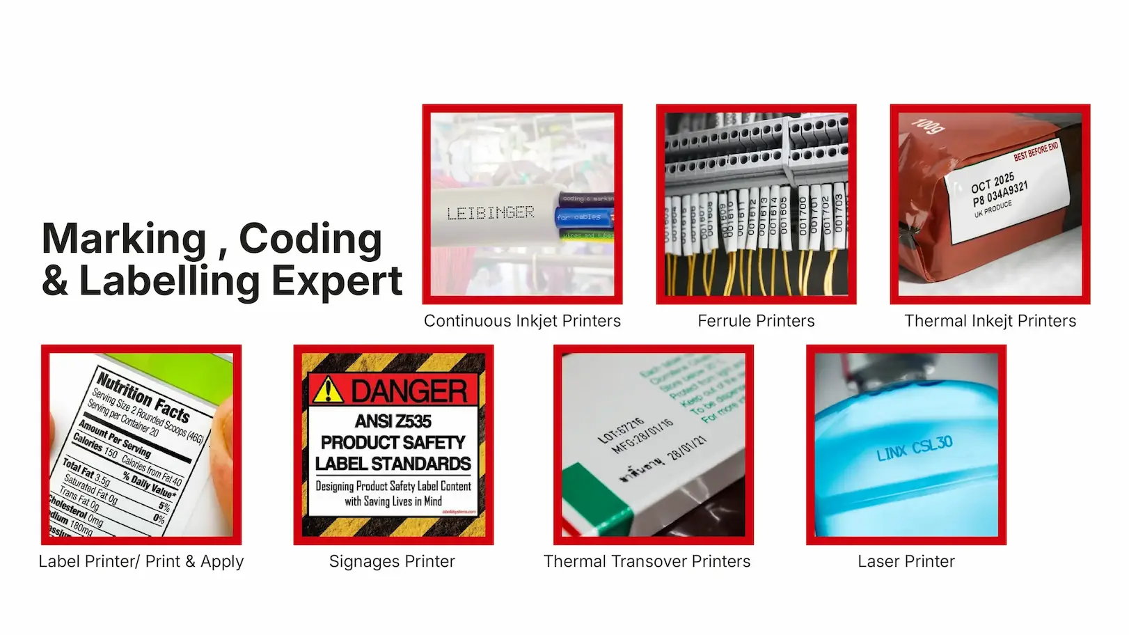 Marking Coding and Labelling Experts